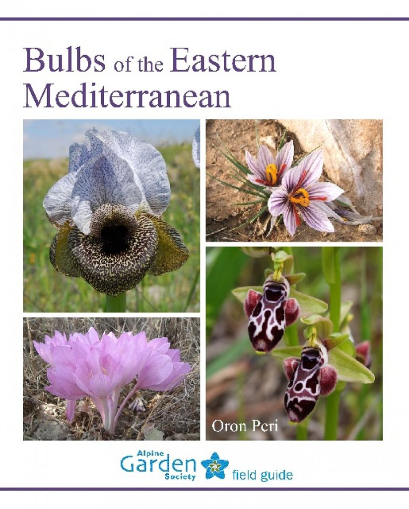 bulbs of the eastern mediterranean