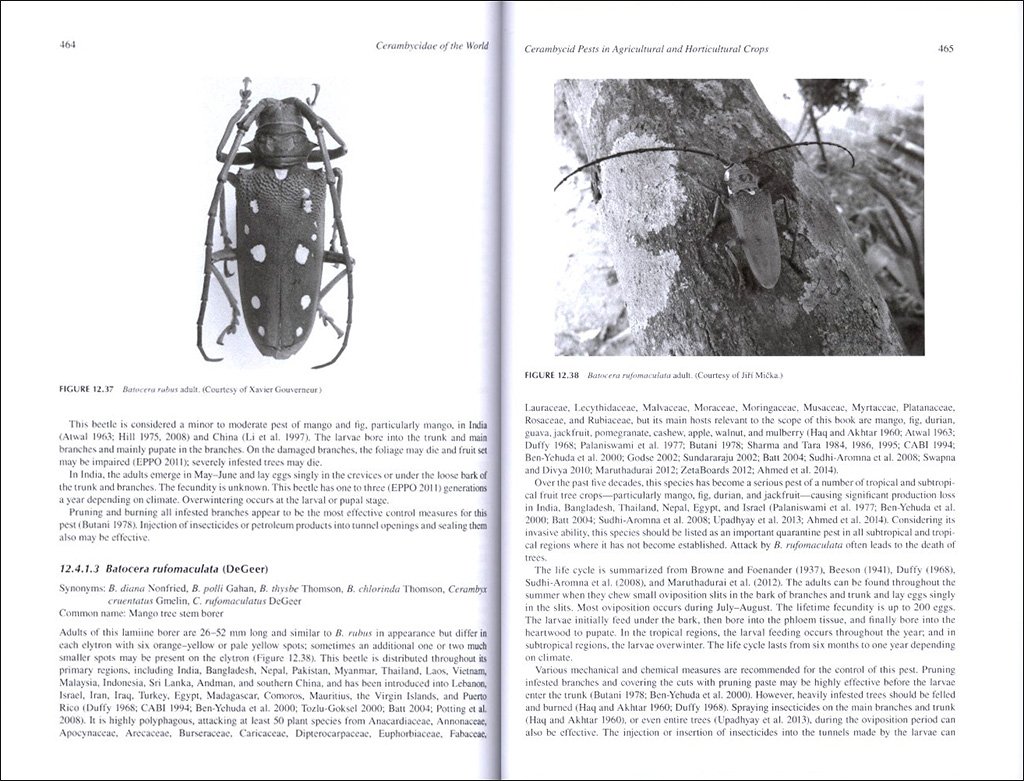 cerambycidae of the world: biology and pest management