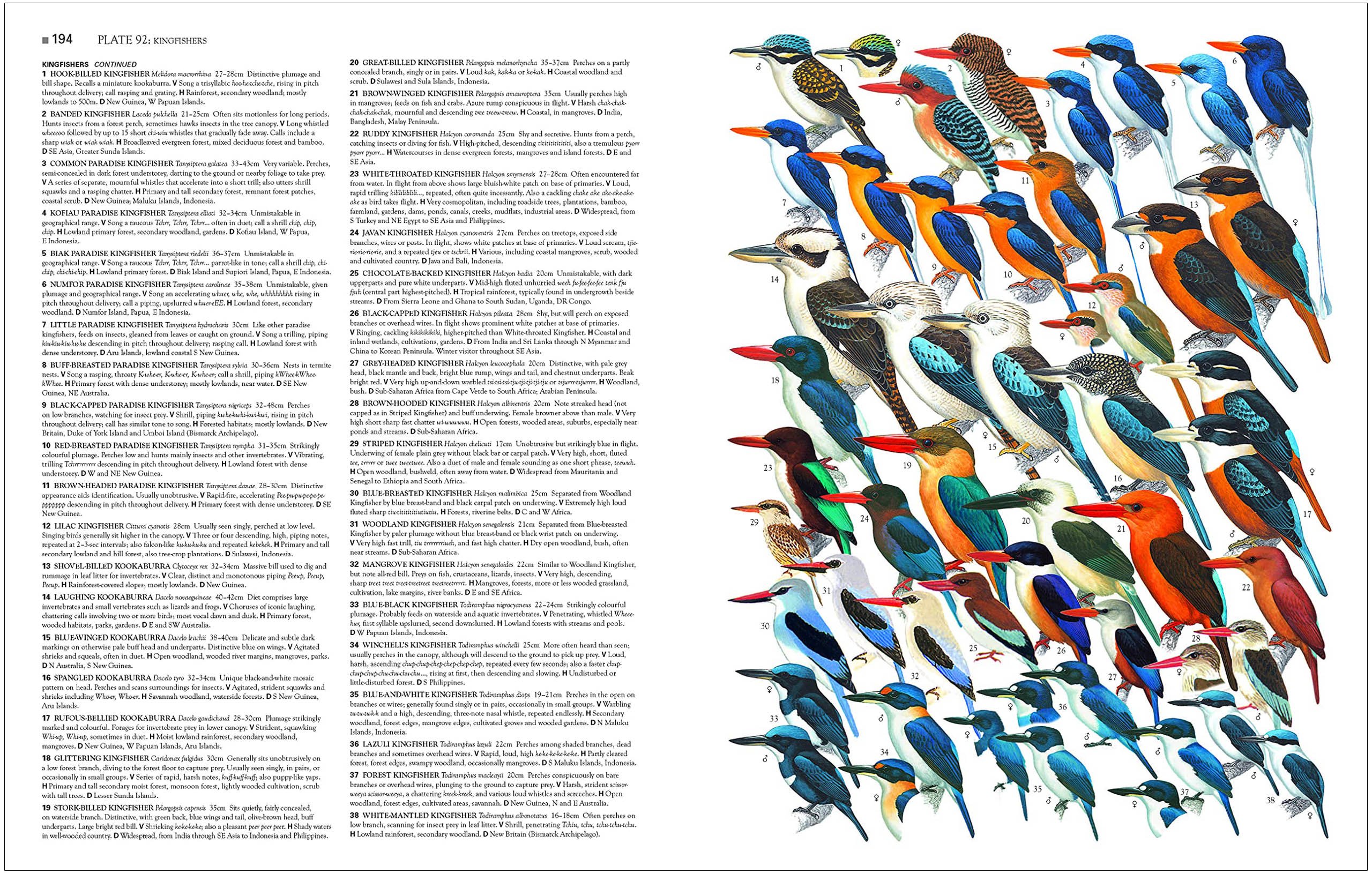 collins birds of the world. all 10.711 species illustrated