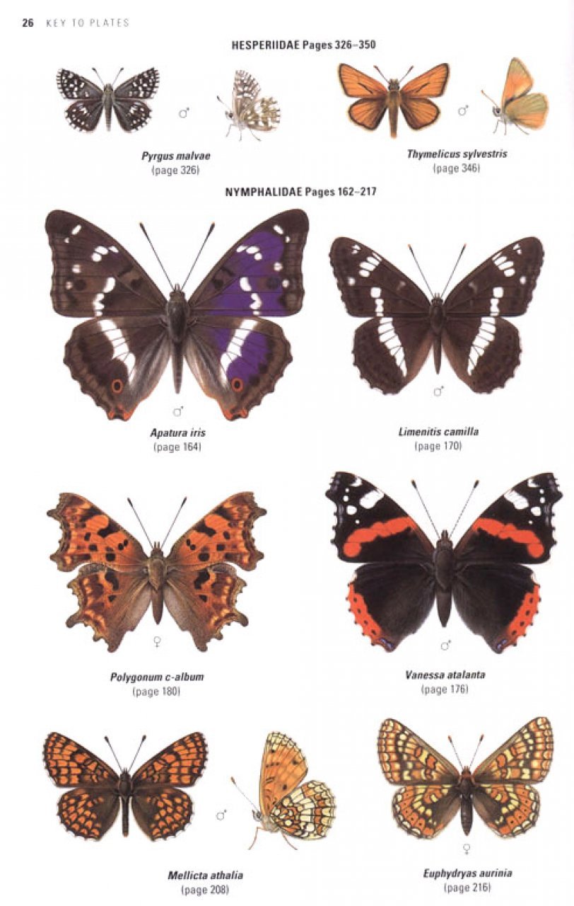 collins butterfly guide. the most complete guide to the butterflies of britain and europe