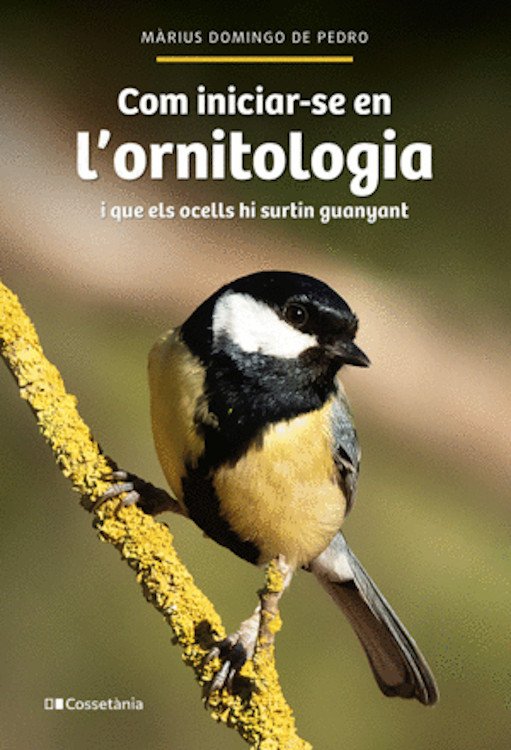 com iniciar-se en l'ornitologia i que els ocells hi surtin guanyant
