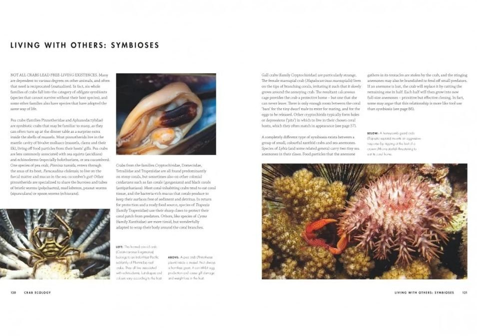 crabs. a global natural history