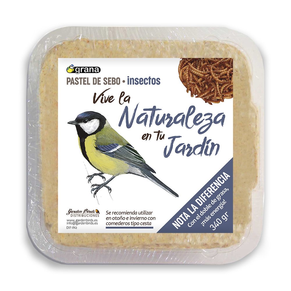 dif-n1 pastel de sebo con insectos