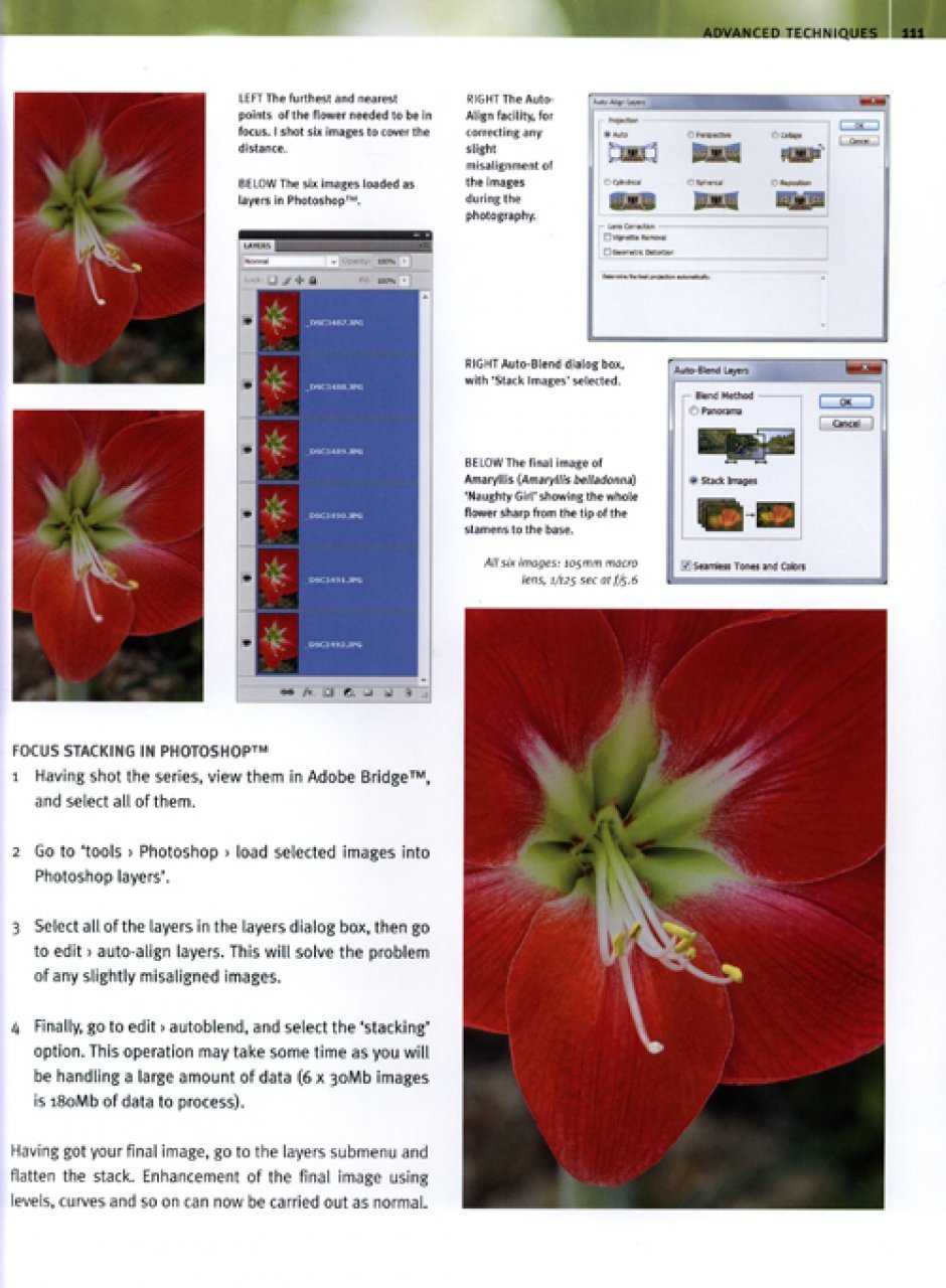 digital plant photography