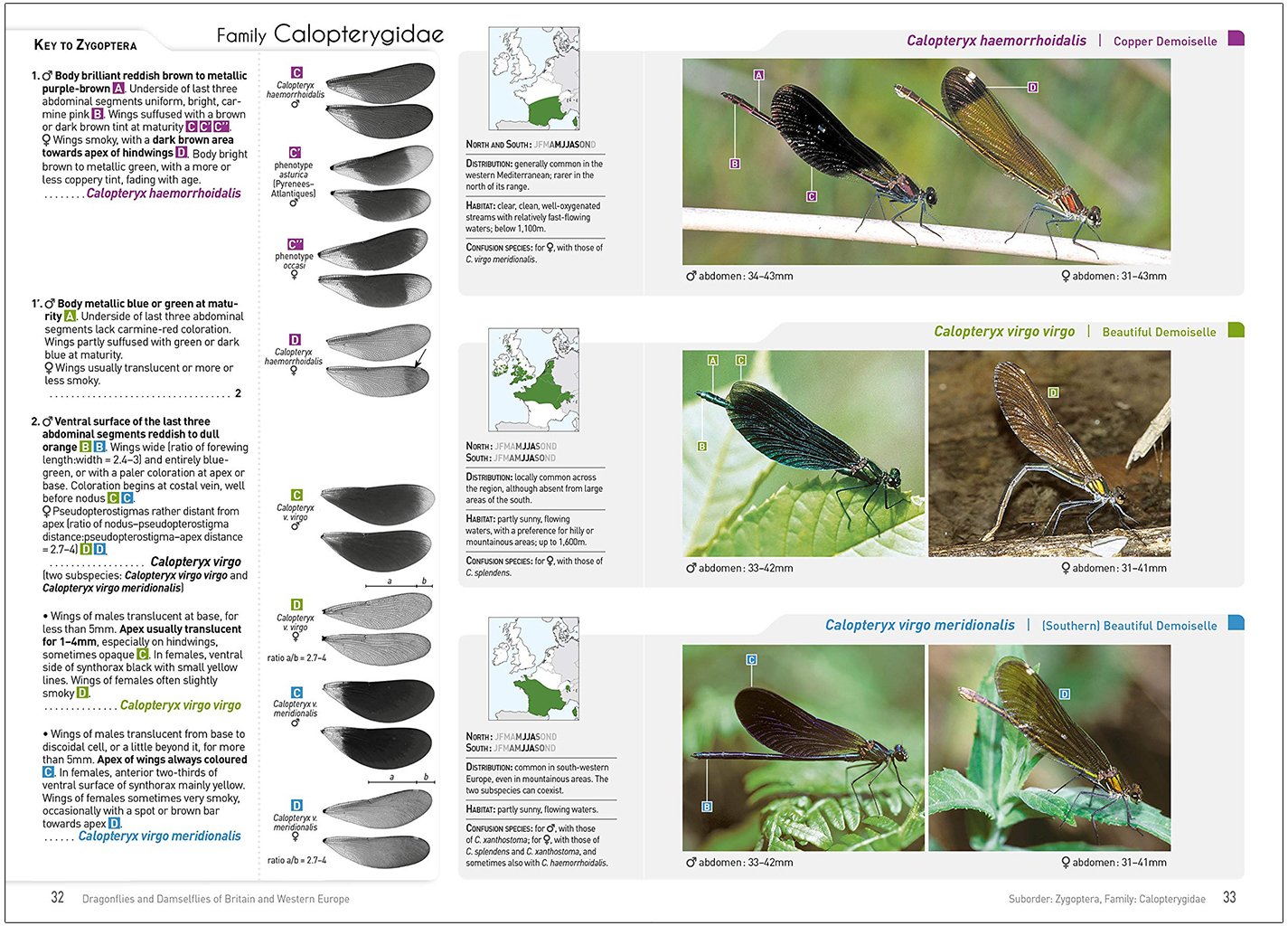 dragonflies and damselflies of britain and western europe. a photographic guide