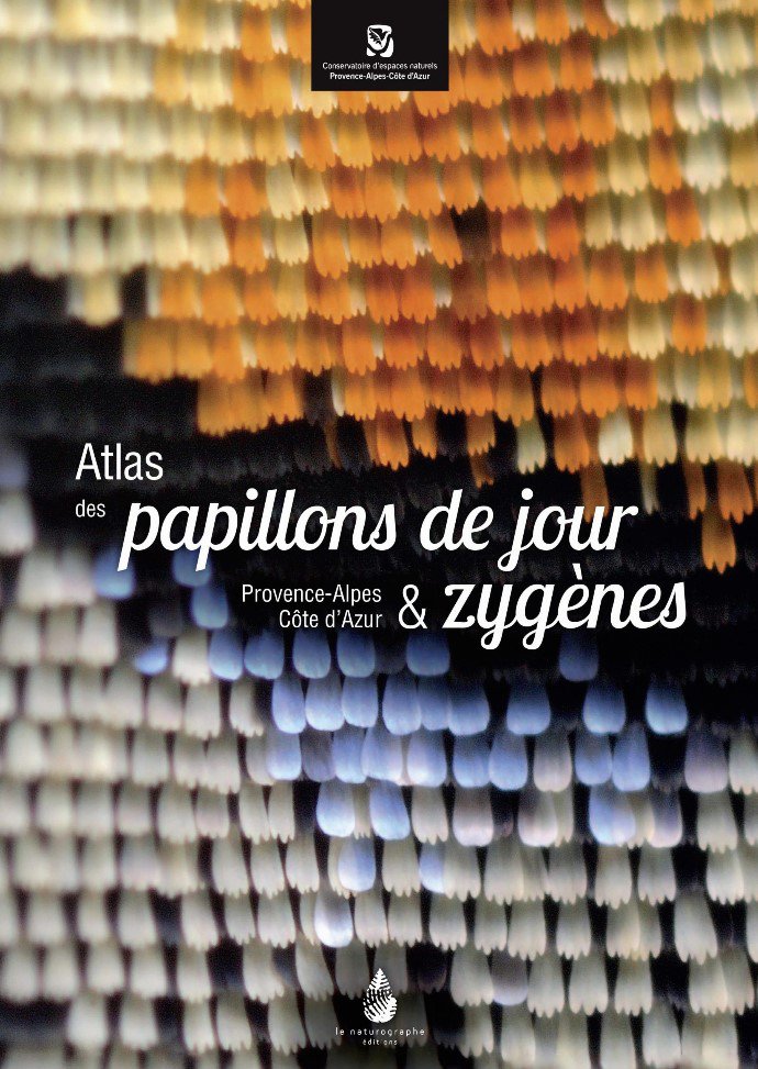 atlas des papillons de jour & zygnes - provence-alpes cte d'azur
