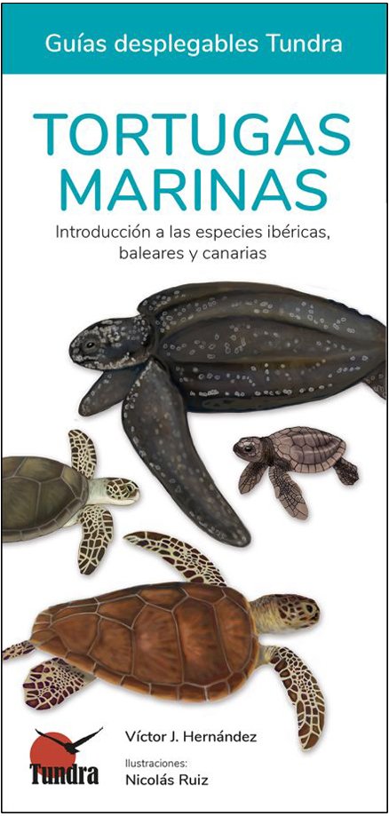 tortugas marinas. introduccin a las especies ibricas y canarias. guas desplegables tundra