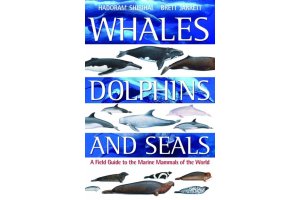 mamfers marins