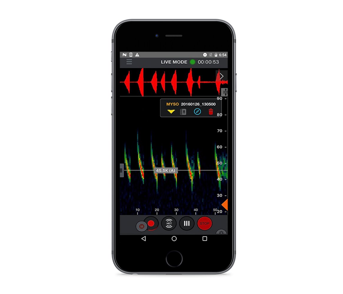 echo meter touch 2 pro usb-c compatible con android e ios para escuchar, grabar e identificar los ultrasonidos de murcilagos