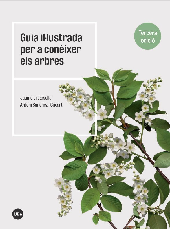 guia illustrada per a conixer els arbres