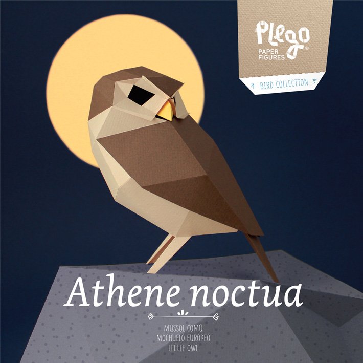 plegopaper - figura recortable de mochuelo europeo (mussol com)