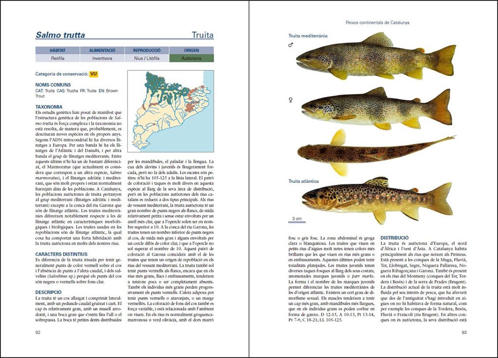 peixos continentals de catalunya. ecologia, conservaci i guia d'identificaci