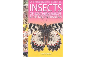 insectes i arcnids