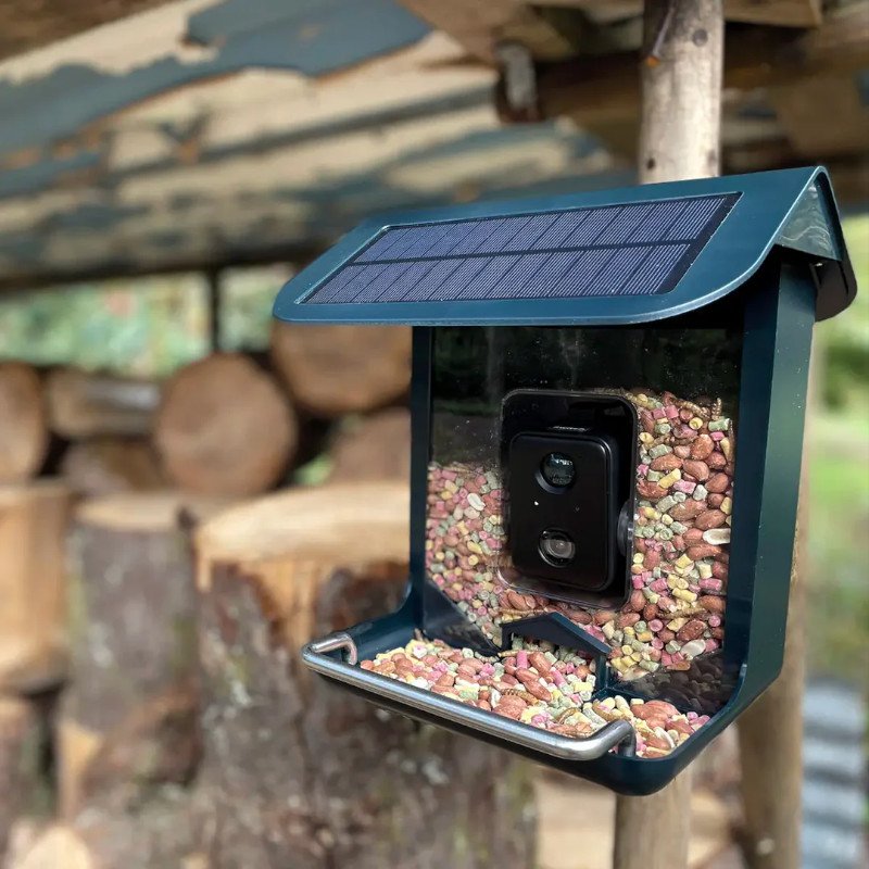 naturespy birdcam pro cmara a color para observacin de aves en comedero con transmisin va wifi