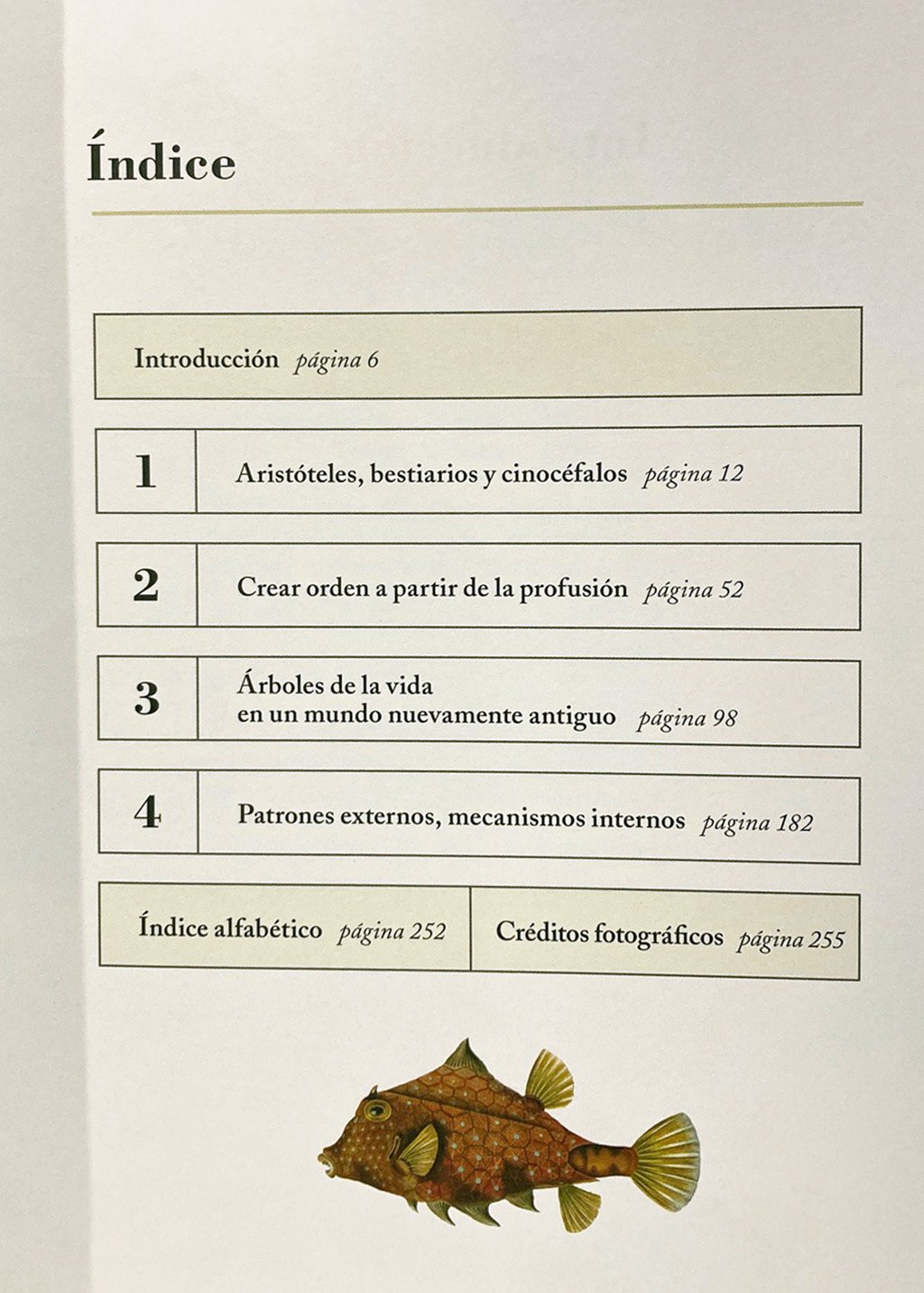 la clasificacin de los animales. un estudio ilustrado