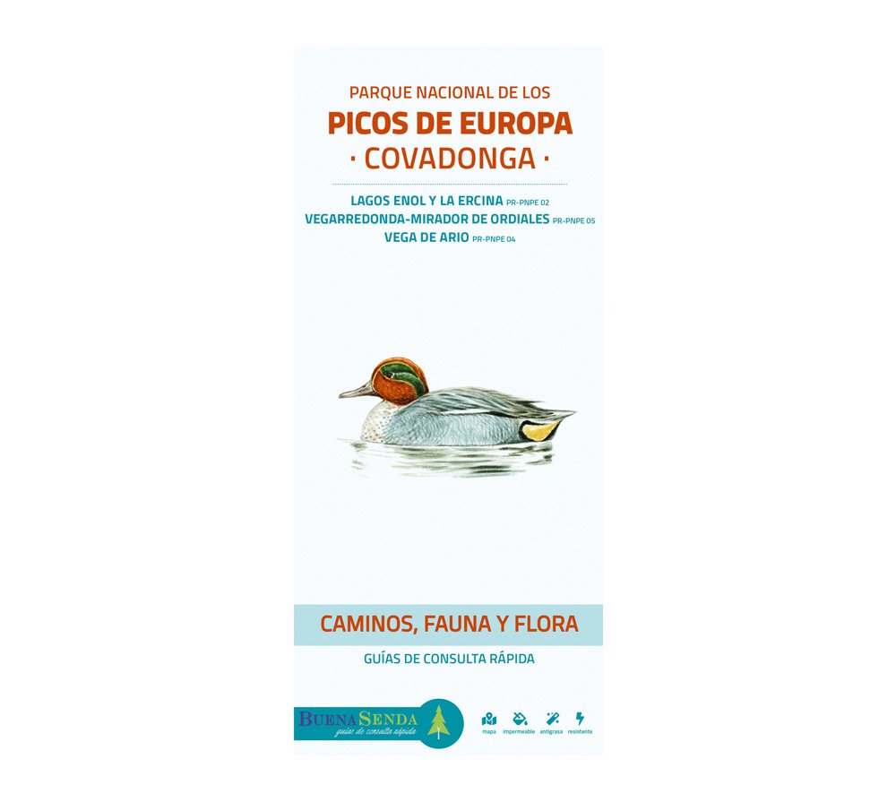 parque nacional de los picos de europa. covadonga. caminos, fauna y flora. guas de consulta rpida