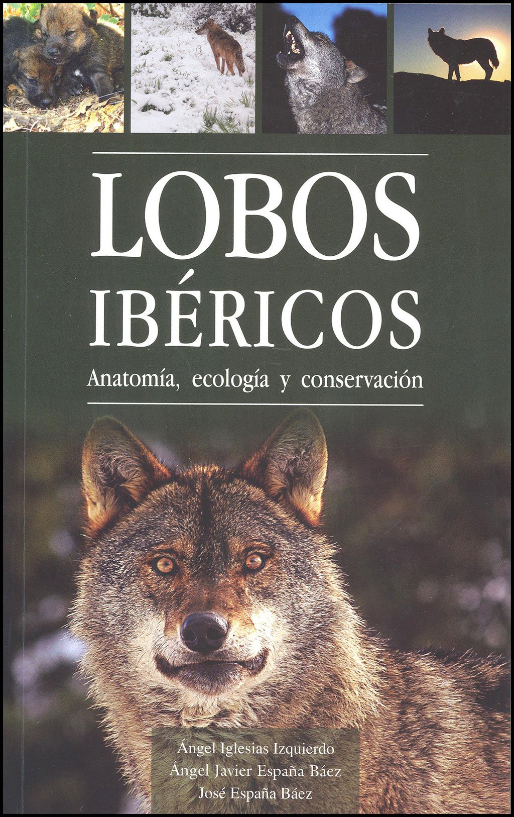 lobos ibricos. anatoma, ecologa y conservacin. indicios de presencia (pack dos volmenes)