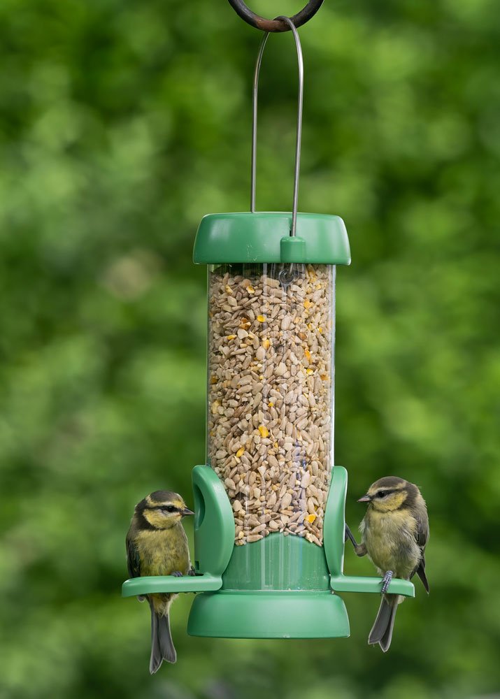 bl2-s1g "bird lovers" comedero tubular para aves silvestres pequeo para mezcla de semillas fcil de limpiar