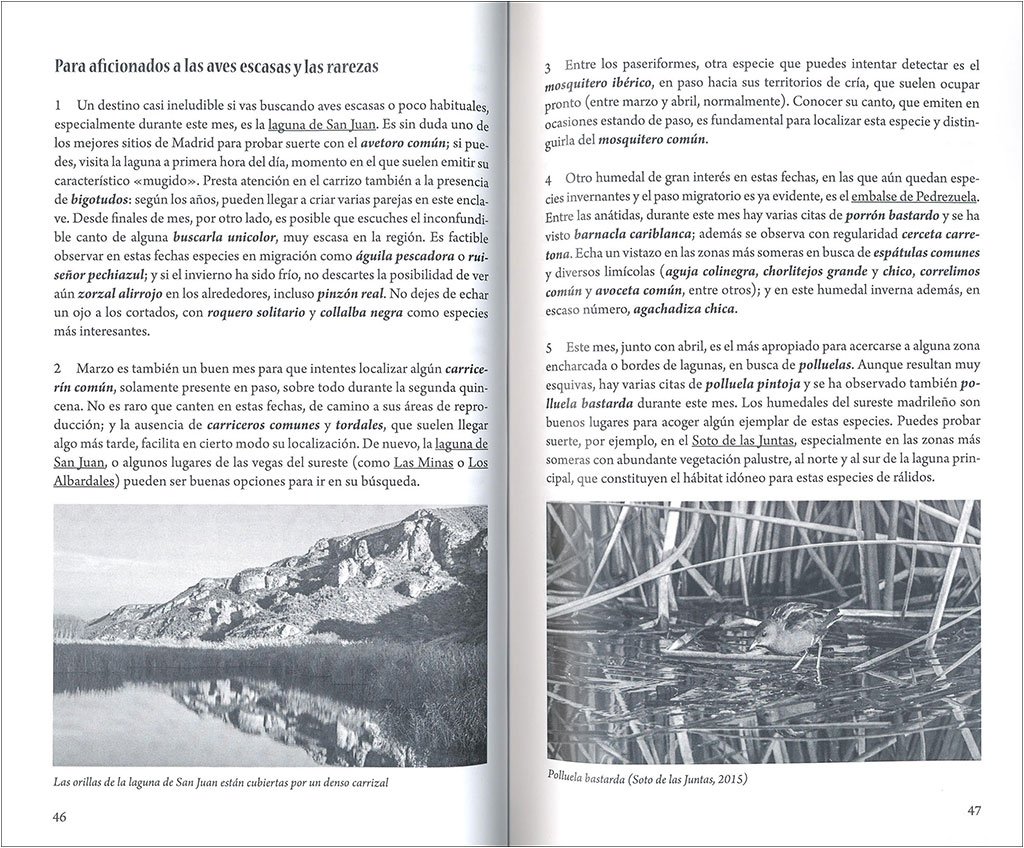 cundo y dnde ver aves en madrid