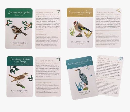 coffret dcouverte des oiseaux (caixa per descobrir els ocells/ caja para descubrir las aves)