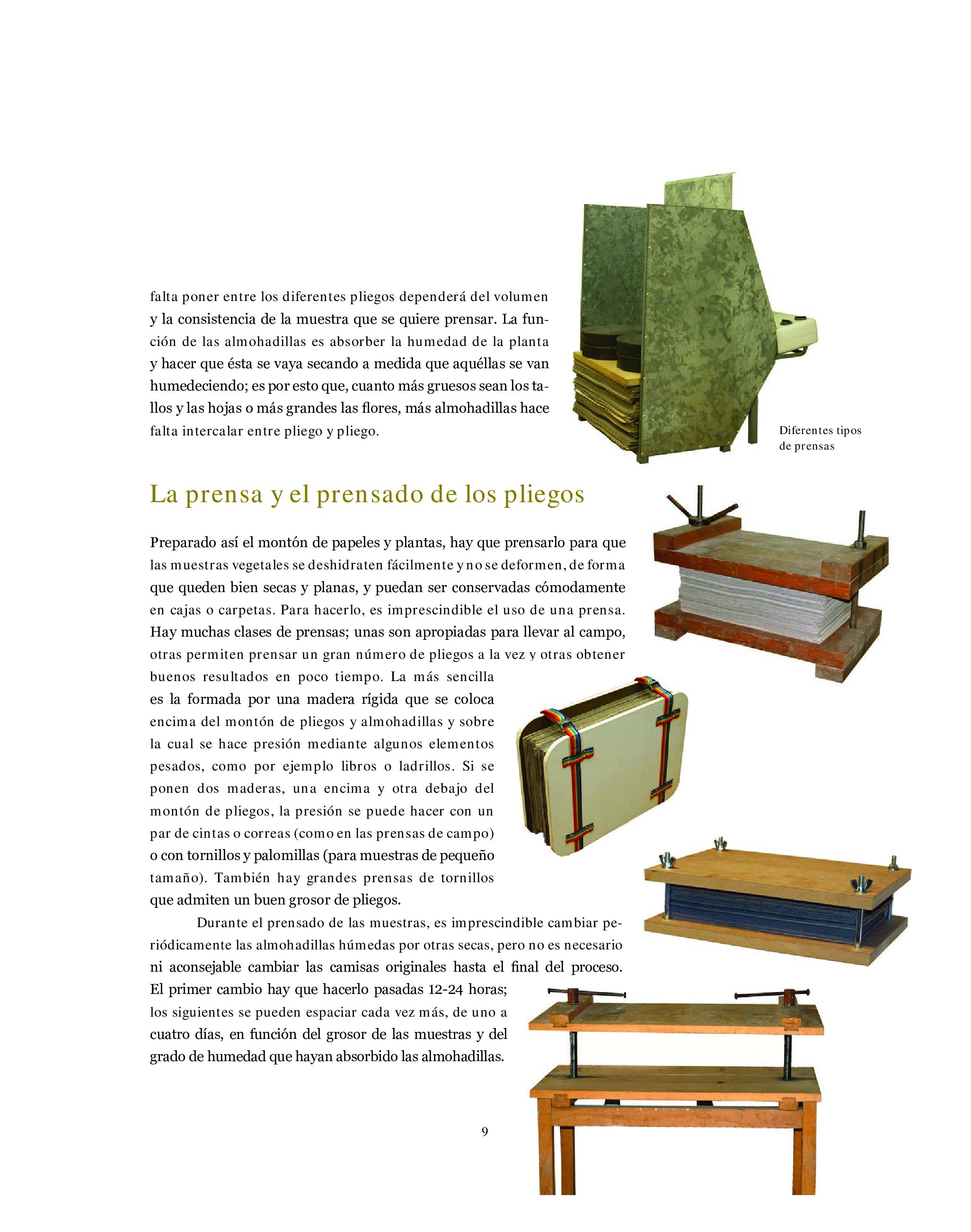 el herbario. matas, hierbas y helechos. 2 edicin