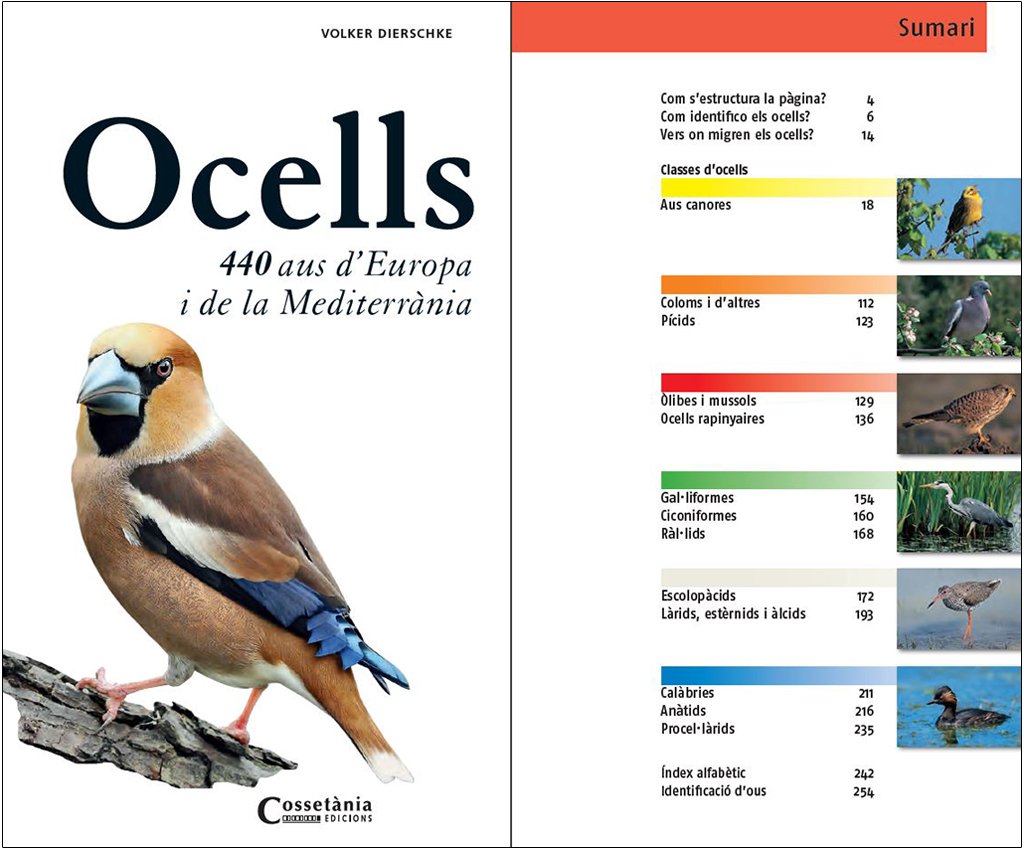 ocells 440 aus d'europa i de la mediterrnia