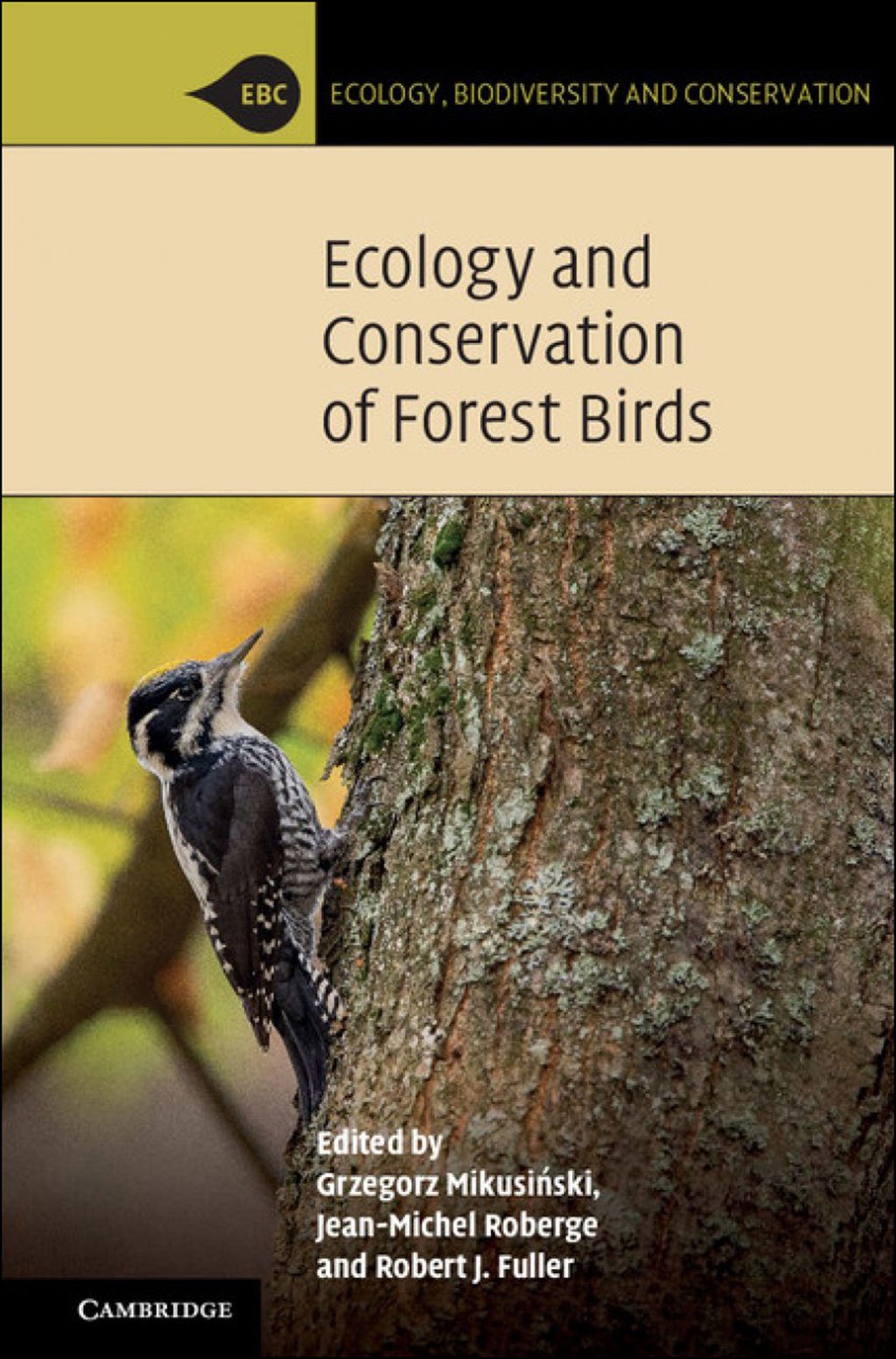 ecology and conservation of forest birds