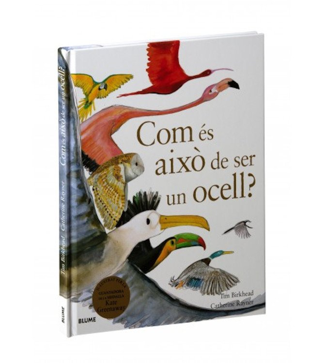 com s aix de ser un ocell?