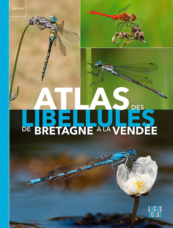 atlas des libellules de la bretagne  la vend