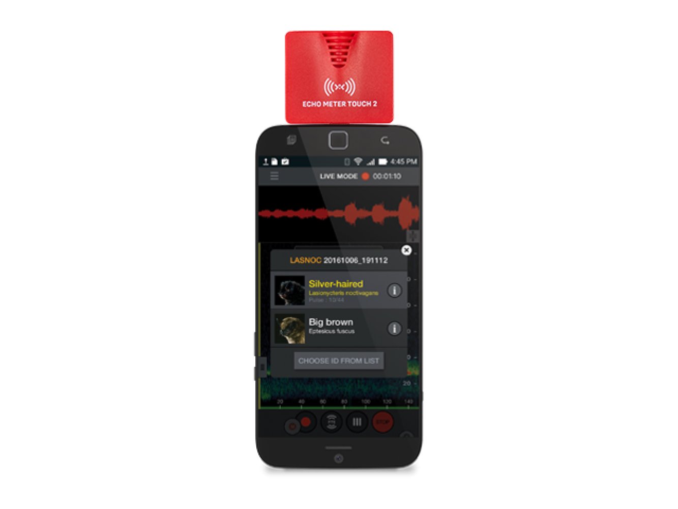 echo meter touch 2 usb-c compatible con android e ios para escuchar, grabar e identificar los ultrasonidos de murcilagos