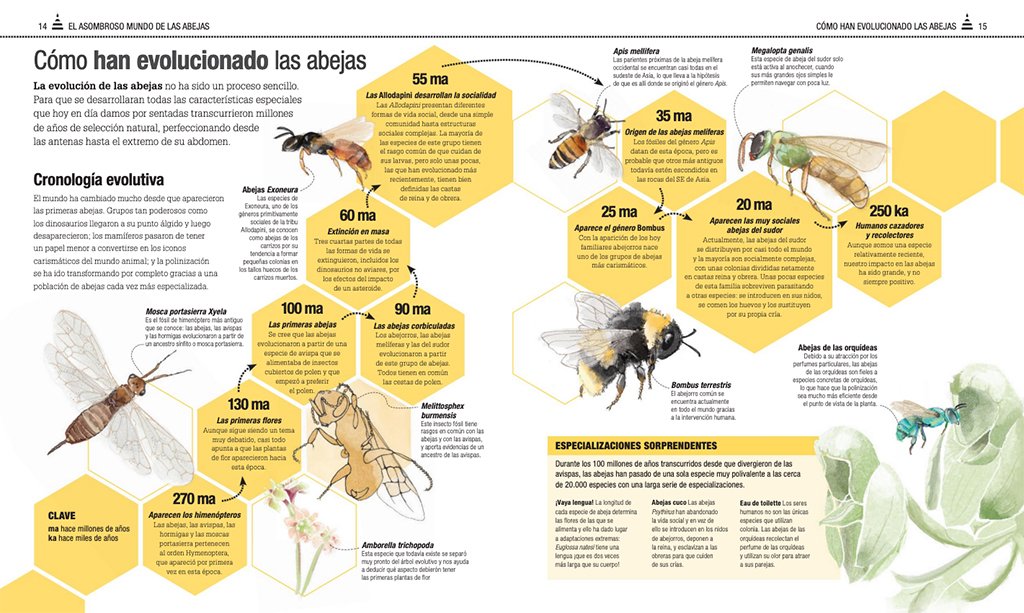 el libro de las abejas