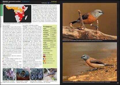 estrildid finches of the world. a photographic, descriptive and factual guide to all 34 genera of estrildidae including vaxbills. seedcrackers, nigritas, twinspots, munias, mannikins and grassfinches