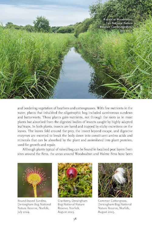 fenland nature