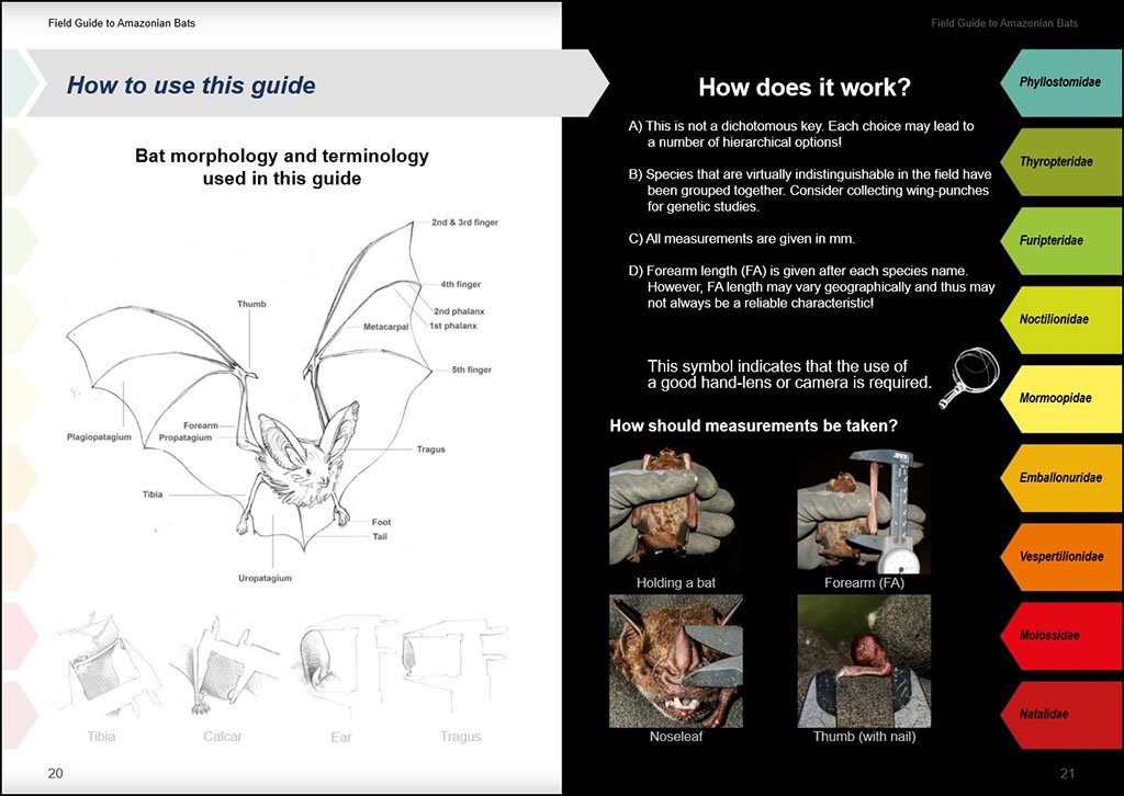 field guide to the bats of the amazon. 2nd ed.