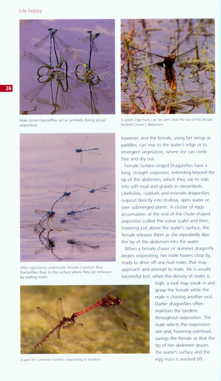 field guide to the dragonflies and damselflies of great britain and ireland