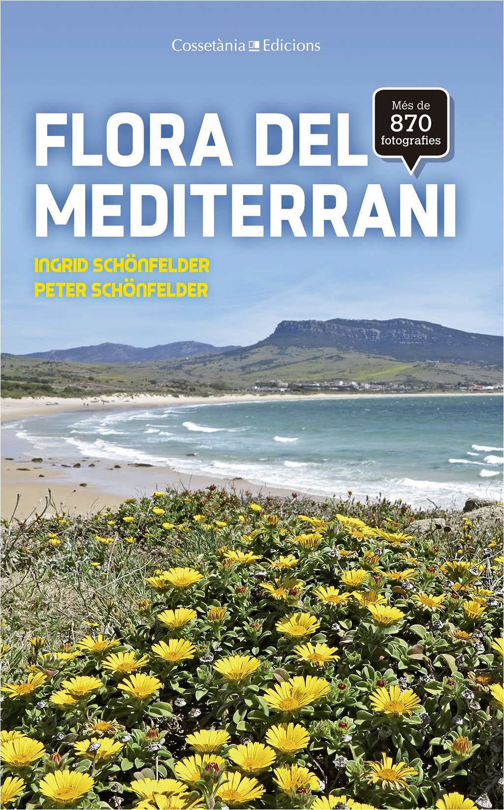 flora del mediterrani
