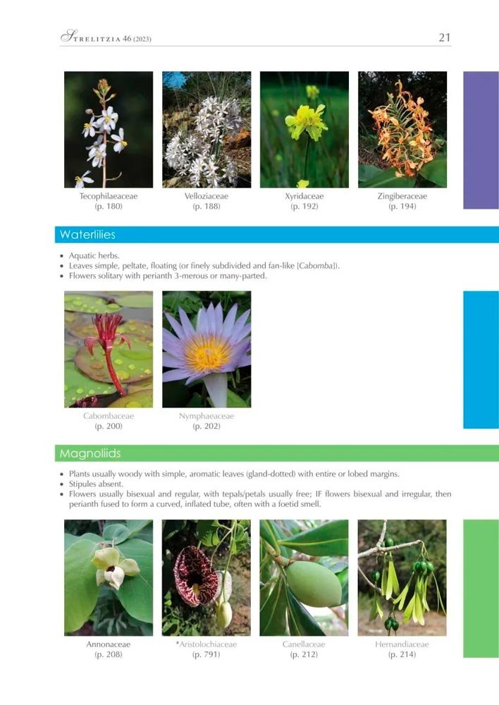 flowering plant families of southern africa