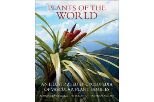 general botany