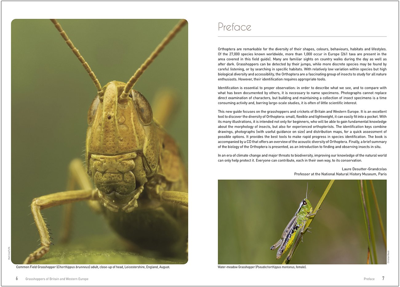 grasshoppers of britain and western europe. a photographic guide