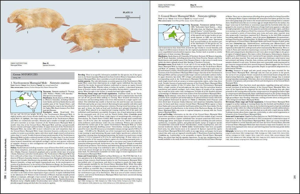 handbook of the mammals of the world. vol. 5 monotremes and marsupials