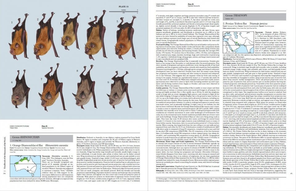 handbook of the mammals of the world. vol. 9 bats