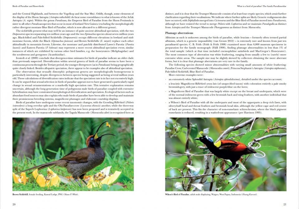helm identification guides. birds of paradise and bowerbirds