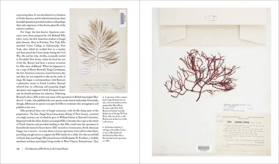 herbarium. the quest to preserve and classify the world's plants