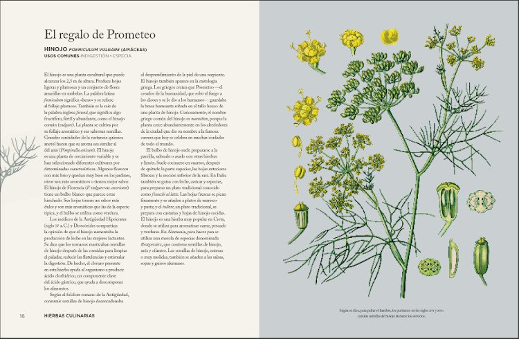 hierbas que han sanado el mundo y otras historias de plantas extraordinarias