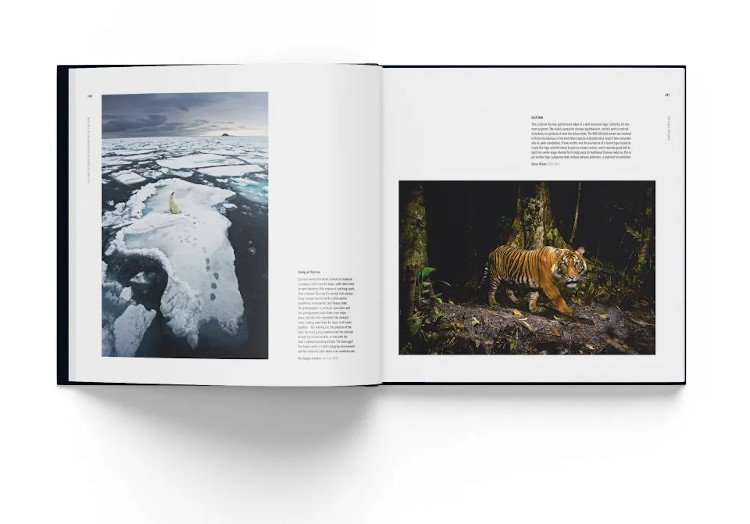 how wildlife photography became art. 55 years of wildlife photographer of the year