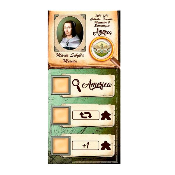 insecta, the ladies of entomology joc de taula/juego de mesa