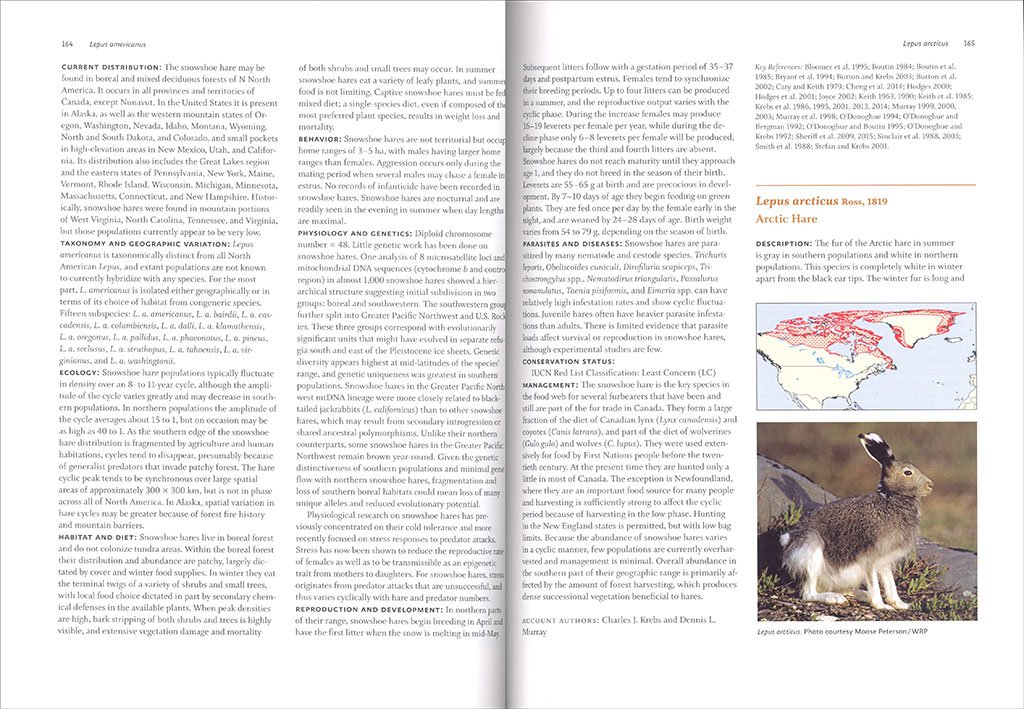 lagomorphs: pikas, rabbits, and hares of the world