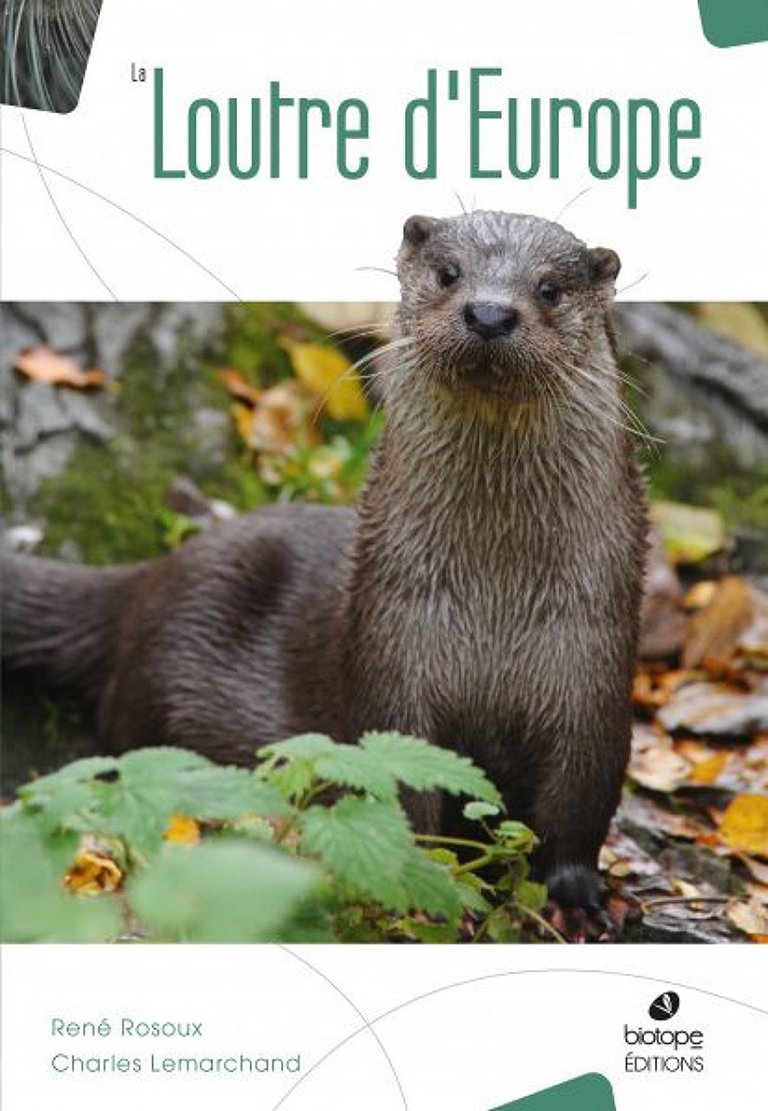 la loutre d'europe