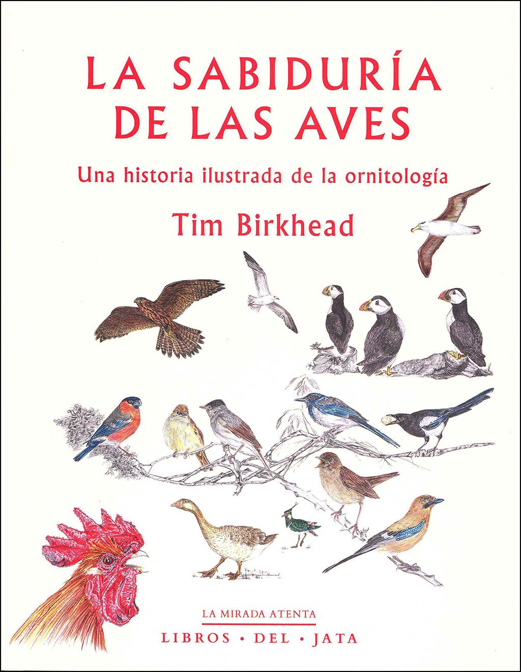 la sabiduria de las aves