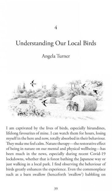 low-carbon birding